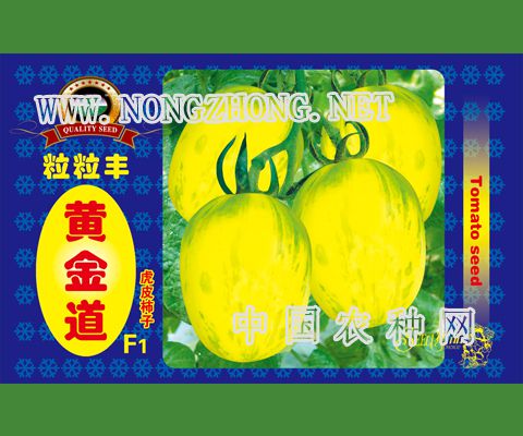 黄金道